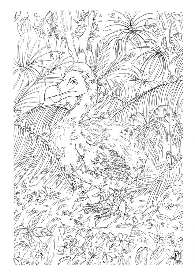 Un dodo dessiné au stylo sur un papier blanc avec des détails minutieux de la plantation qui l'entoure par Kristina Arakelian, peintre et illustratrice
