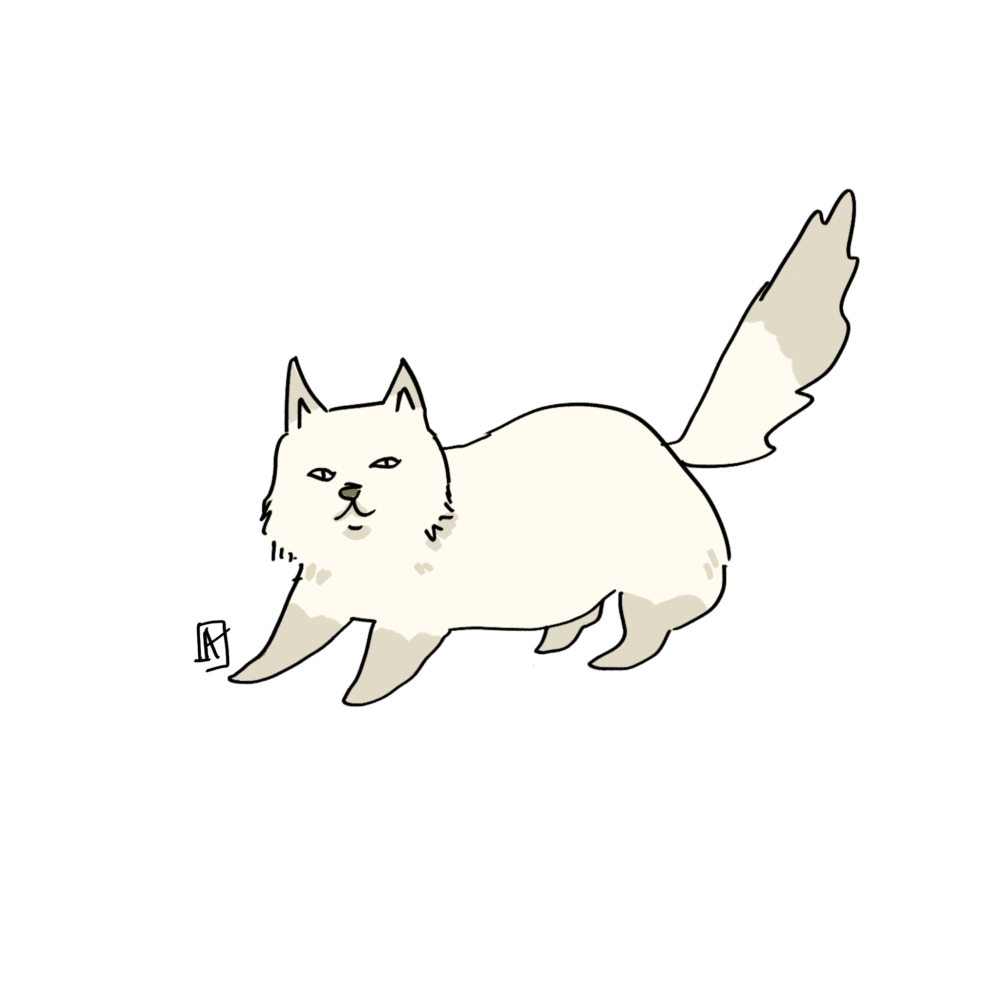 Un chat blanc appelé Jango dessiné apr Kristina Arakelian dans un style épuré