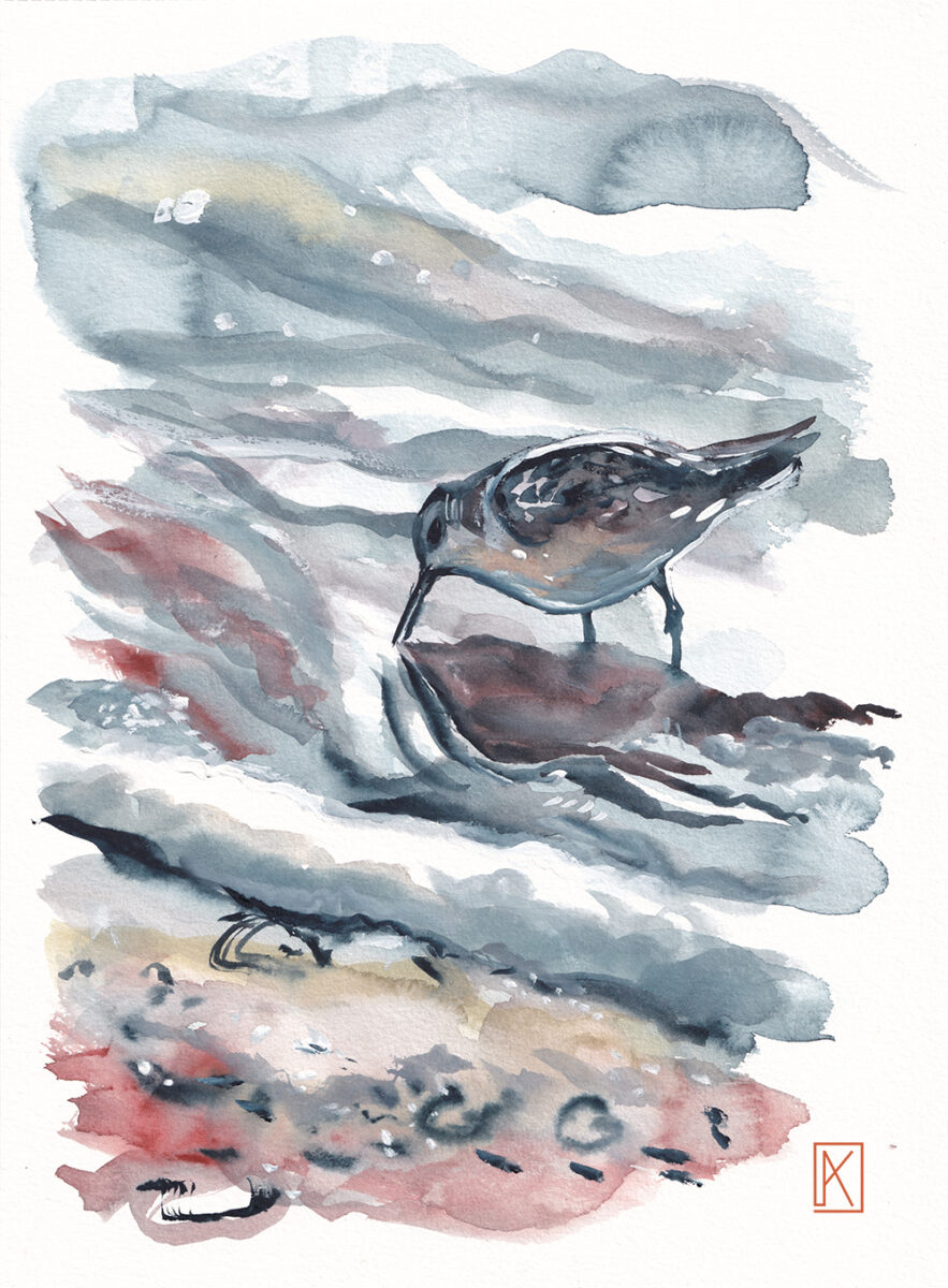 A sanderling fishing ont he beache of the sea painted with ink by Kristina Arakelian