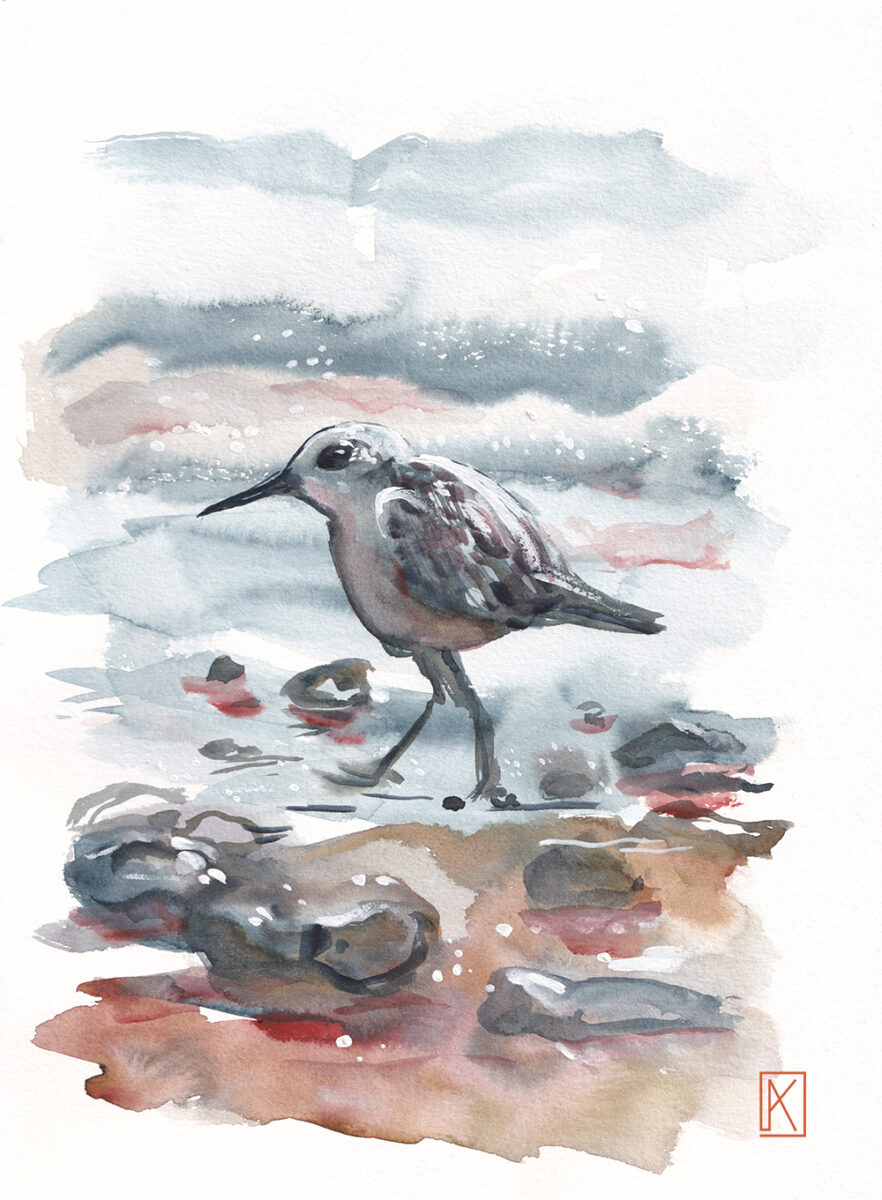 Small sanderling walking on the beach on sand and tiny stones while the waves come to his feet painted with ink and watercolors by Kristina Arakelian