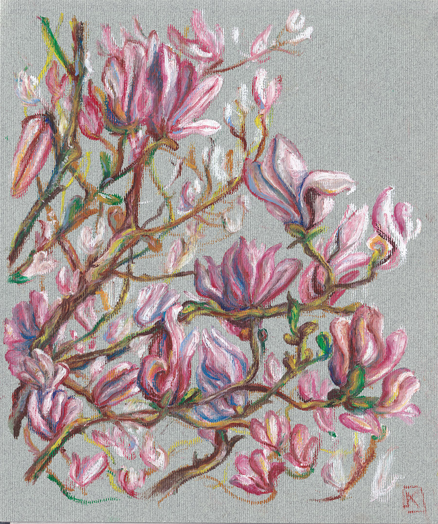 Magnolia en fleurs en doux de rose dessinés à la pastel par Kristina Arakelian