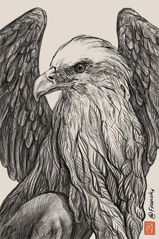 Aigle et griffon par Kristina Arakelian au crayon