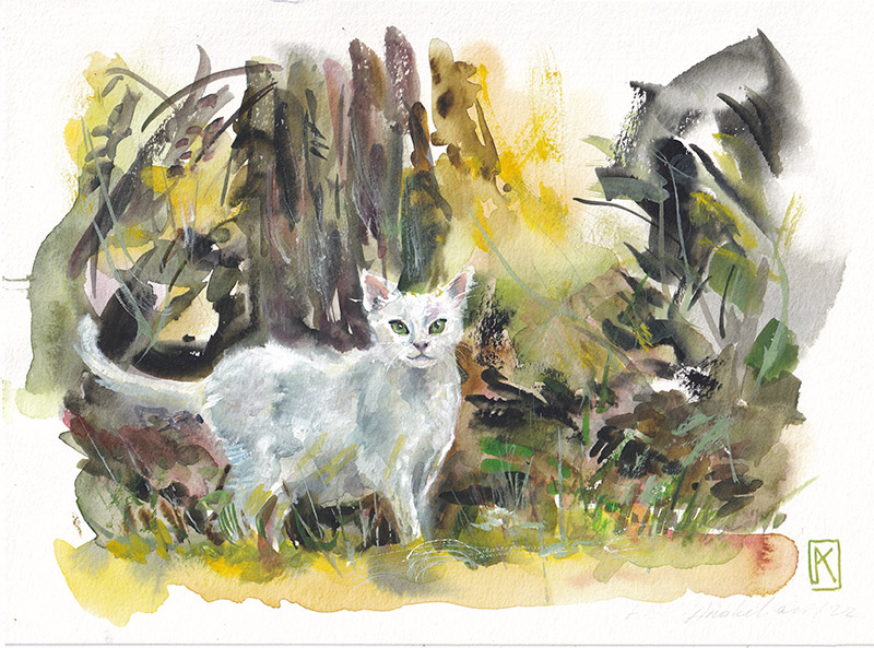 Chat timide en forêt