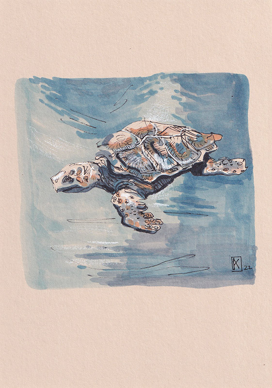 Turtle in the water by Kristina Arakelian